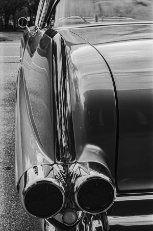Chrome Sharkfin